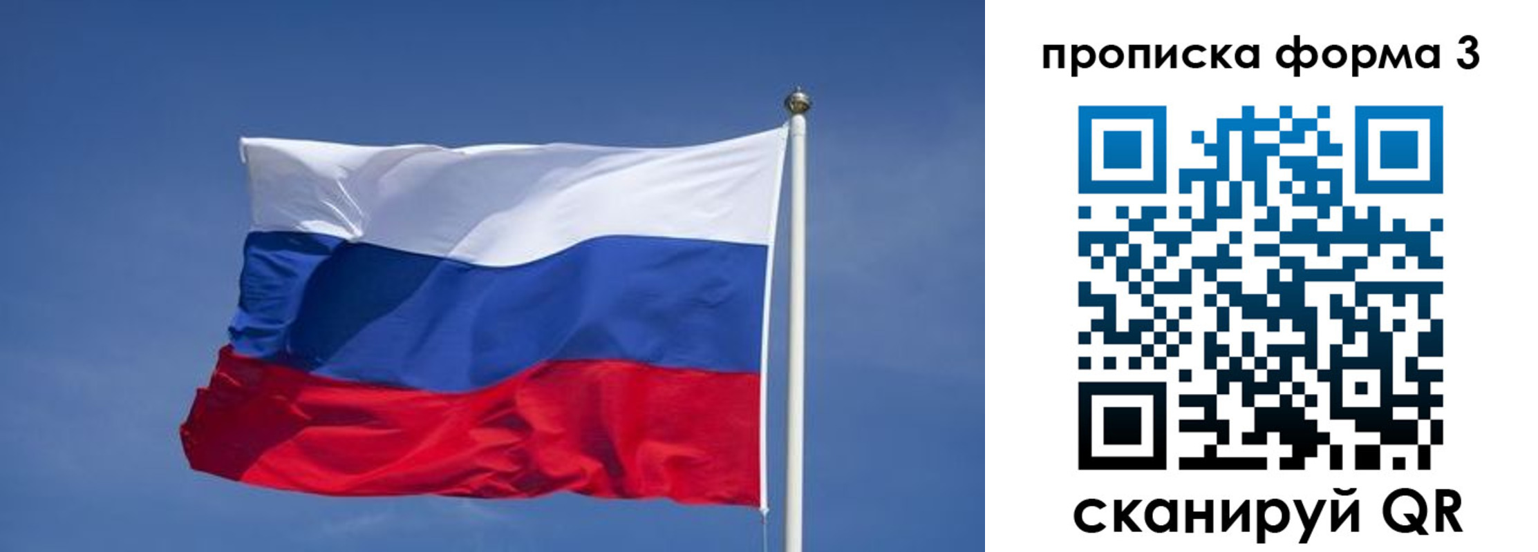 прописка 2025 в Электрогорске